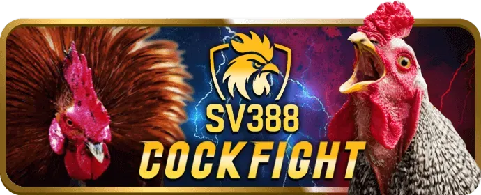 Các phương thức thanh toán nhanh chóng tại nohu 90 casino