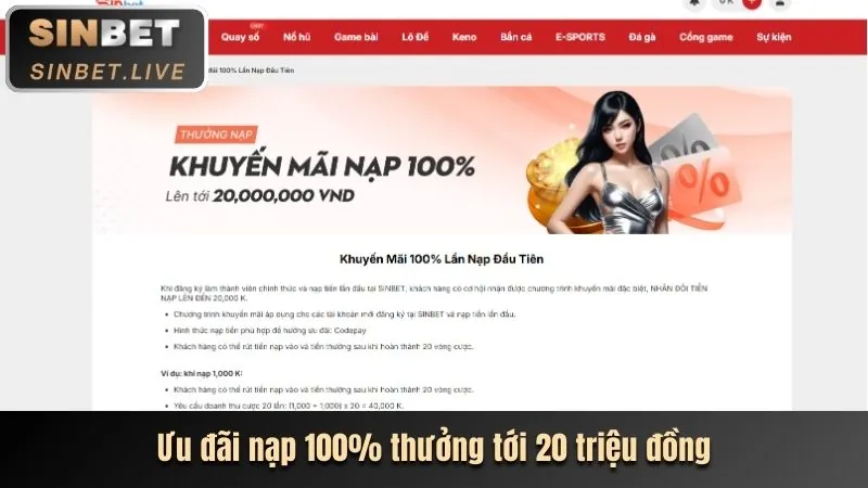 Chương trình VIP Club độc quyền của nohu 90 casino